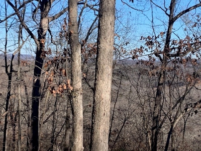 Balanced Harmony With Nature At 313 Mc 4042 - image 17