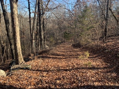 Balanced Harmony With Nature At 313 Mc 4042 - image 12