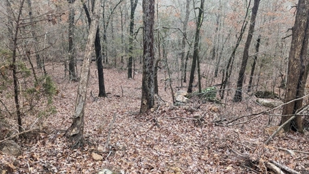Balanced Harmony With Nature At 313 Mc 4042 - image 27