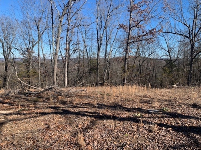 Balanced Harmony With Nature At 313 Mc 4042 - image 6