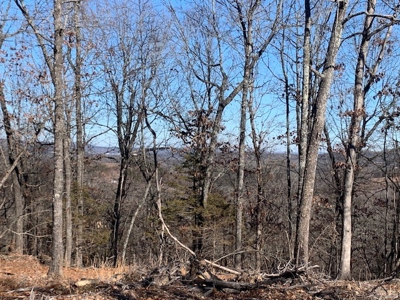 Balanced Harmony With Nature At 313 Mc 4042 - image 3