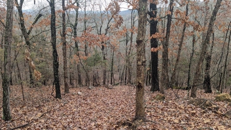 Balanced Harmony With Nature At 313 Mc 4042 - image 26