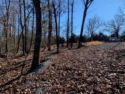 Balanced Harmony With Nature At 313 Mc 4042 - image 19