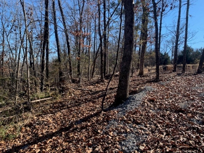 Balanced Harmony With Nature At 313 Mc 4042 - image 18