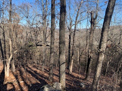 Balanced Harmony With Nature At 313 Mc 4042 - image 13
