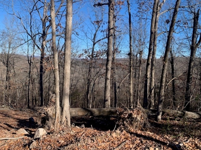 Balanced Harmony With Nature At 313 Mc 4042 - image 16
