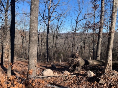 Balanced Harmony With Nature At 313 Mc 4042 - image 20