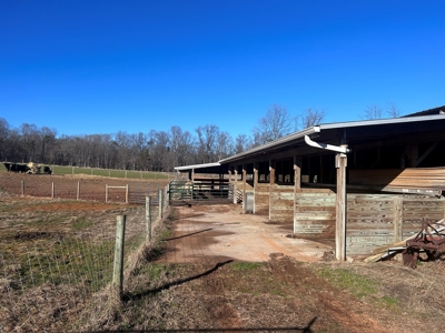 2 Organic Poultry Barns with a Cattle Barn on +/- 19.5 Acres - image 2