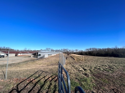 2 Organic Poultry Barns with a Cattle Barn on +/- 19.5 Acres - image 36