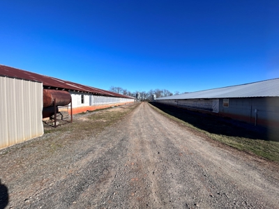 2 Organic Poultry Barns with a Cattle Barn on +/- 19.5 Acres - image 27