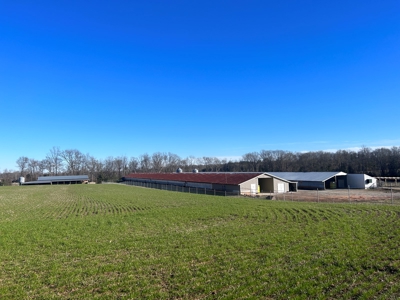 2 Organic Poultry Barns with a Cattle Barn on +/- 19.5 Acres - image 11