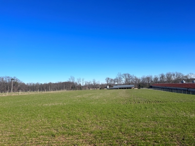 2 Organic Poultry Barns with a Cattle Barn on +/- 19.5 Acres - image 12