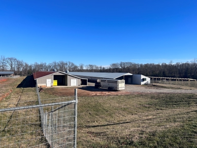 2 Organic Poultry Barns with a Cattle Barn on +/- 19.5 Acres - image 31