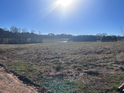 2 Organic Poultry Barns with a Cattle Barn on +/- 19.5 Acres - image 33