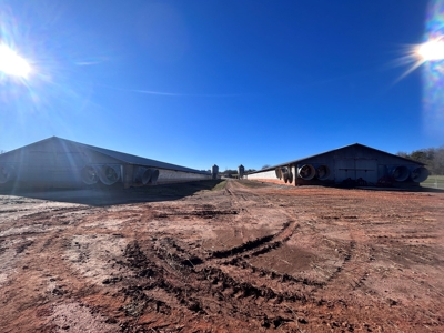 2 Organic Poultry Barns with a Cattle Barn on +/- 19.5 Acres - image 17