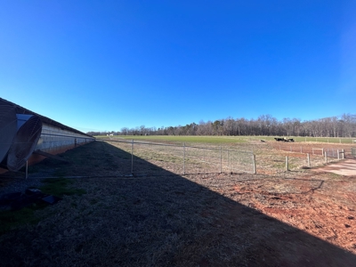 2 Organic Poultry Barns with a Cattle Barn on +/- 19.5 Acres - image 23