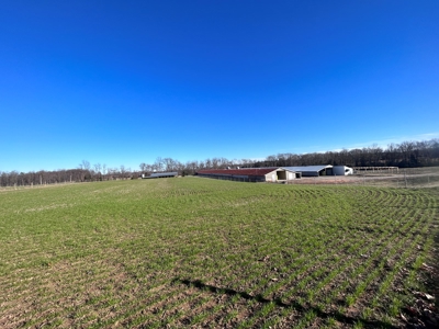 2 Organic Poultry Barns with a Cattle Barn on +/- 19.5 Acres - image 14