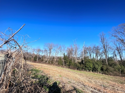 2 Organic Poultry Barns with a Cattle Barn on +/- 19.5 Acres - image 21