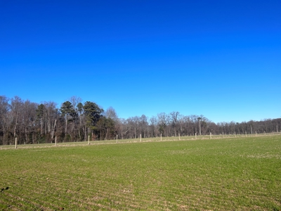 2 Organic Poultry Barns with a Cattle Barn on +/- 19.5 Acres - image 13