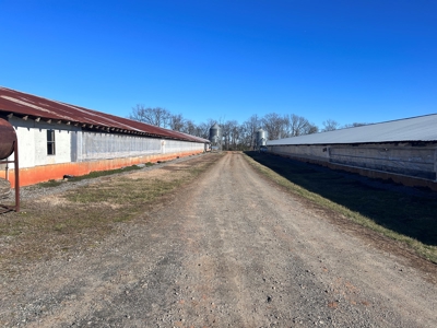 2 Organic Poultry Barns with a Cattle Barn on +/- 19.5 Acres - image 26