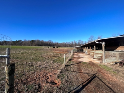 2 Organic Poultry Barns with a Cattle Barn on +/- 19.5 Acres - image 24