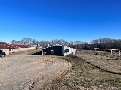 2 Organic Poultry Barns with a Cattle Barn on +/- 19.5 Acres - image 39