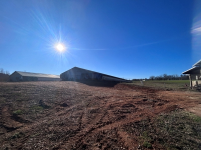 2 Organic Poultry Barns with a Cattle Barn on +/- 19.5 Acres - image 8