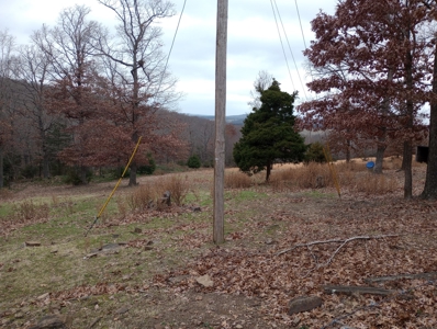 Wonderful 4 bedroom 3 Bath rural 8 acre Home For Sale - image 14
