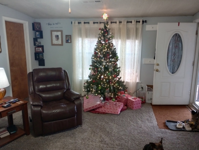 Wonderful 4 bedroom 3 Bath rural 8 acre Home For Sale - image 2