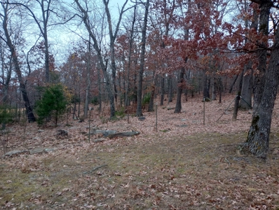 Wonderful 4 bedroom 3 Bath rural 8 acre Home For Sale - image 16