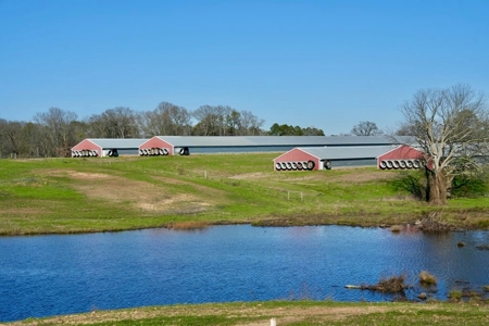 Mississippi Poultry 6-House Broiler Farm for Sale - image 2