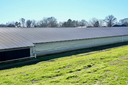 Mississippi Poultry 6-House Broiler Farm for Sale - image 19