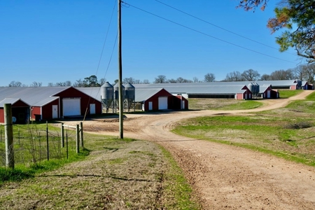 Mississippi Poultry 6-House Broiler Farm for Sale - image 9