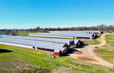 Mississippi Poultry 6-House Broiler Farm for Sale - image 1