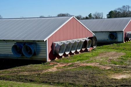 Mississippi Poultry 6-House Broiler Farm for Sale - image 10