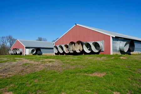 Mississippi Poultry 6-House Broiler Farm for Sale - image 11