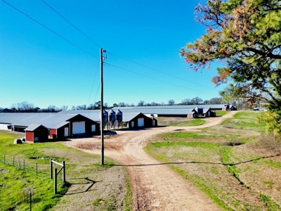 Mississippi Poultry 6-House Broiler Farm for Sale - image 5