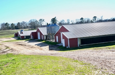 Mississippi Poultry 6-House Broiler Farm for Sale - image 6