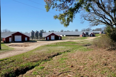 Mississippi Poultry 6-House Broiler Farm for Sale - image 7