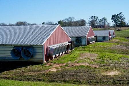 Mississippi Poultry 6-House Broiler Farm for Sale - image 12