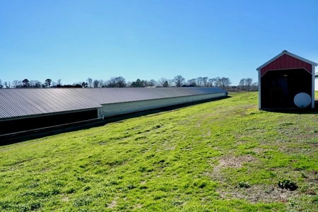 Mississippi Poultry 6-House Broiler Farm for Sale - image 20