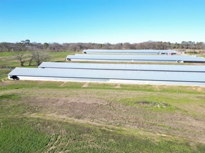 Mississippi Poultry 6-House Broiler Farm for Sale - image 3