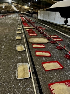 Mississippi Poultry 6-House Broiler Farm for Sale - image 21