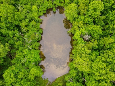 1,207 Acre Hunting Property in Alton, Missouri - image 43