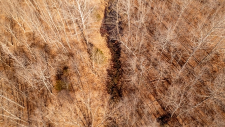 1,207 Acre Hunting Property in Alton, Missouri - image 19