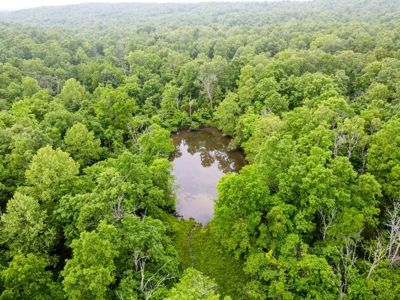 1,207 Acre Hunting Property in Alton, Missouri - image 42