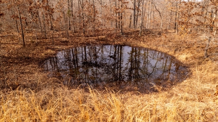 1,207 Acre Hunting Property in Alton, Missouri - image 27