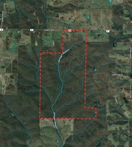 1,207 Acre Hunting Property in Alton, Missouri - image 31