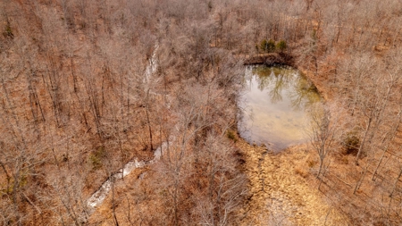 1,207 Acre Hunting Property in Alton, Missouri - image 30