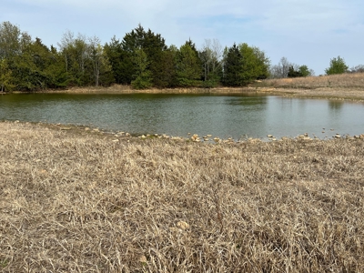 1,207 Acre Hunting Property in Alton, Missouri - image 32